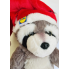 М’яка іграшка Єнот у новорічній шапці Lidl Plush Soft 20см Сірий (7973) 